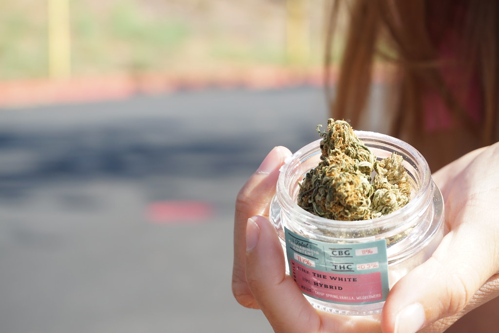 Hand holding a jar of cannabis flower